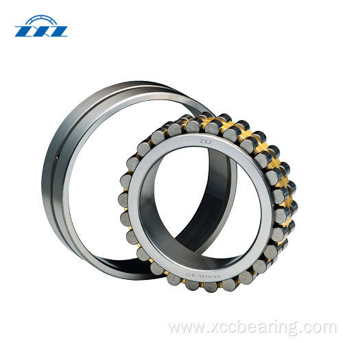 Double Row Cylindrical Roller Bearing